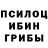 Псилоцибиновые грибы Psilocybe FlyingElk