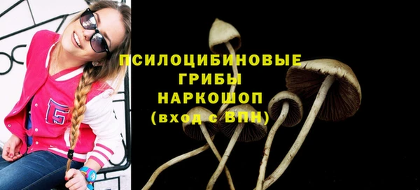 ПСИЛОЦИБИНОВЫЕ ГРИБЫ Порхов