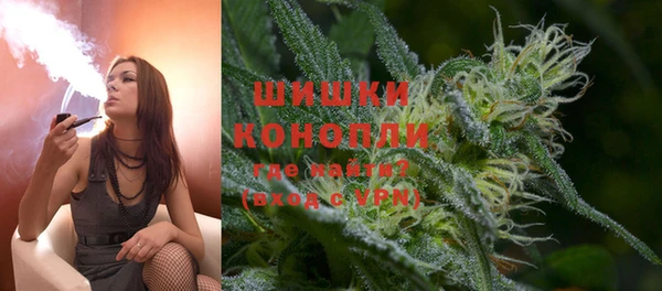 ПСИЛОЦИБИНОВЫЕ ГРИБЫ Порхов